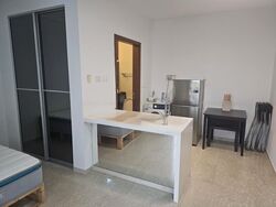 Parc Imperial (D5), Condominium #502419251